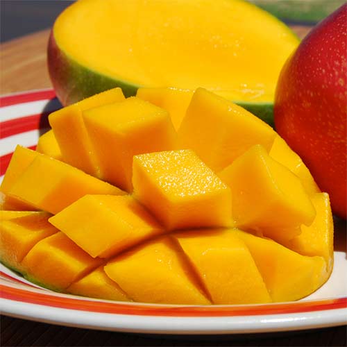 Freshkita por FLP | Productos de Peru | Mango
