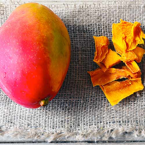 Freshkita | Productos de Perú | Mango deshidratado