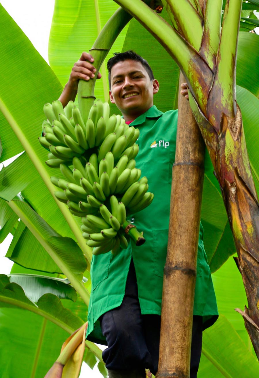 Freshkita por FLP | La sostenibilidad de nuestros agricultores