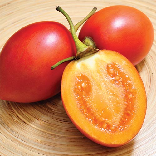 Freshkita por FLP | Productos de Ecuador | Tomate de árbol
